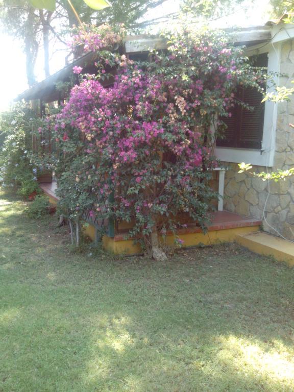 -Exclusive Private Villa- Villasimius Kültér fotó